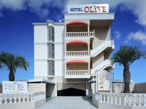 Гостиница Hotel Fine Olive Sakai  Сакаи
